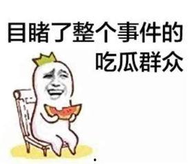 抖音娱乐圈吃瓜群众群聊,揭秘明星幕后故事，吃瓜群众热议不断