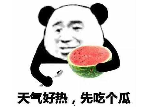 回复吃瓜表情包,揭秘热门事件背后的表情包风云
