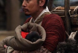 赵氏孤儿在线观看,一场悲壮的家族复仇史诗